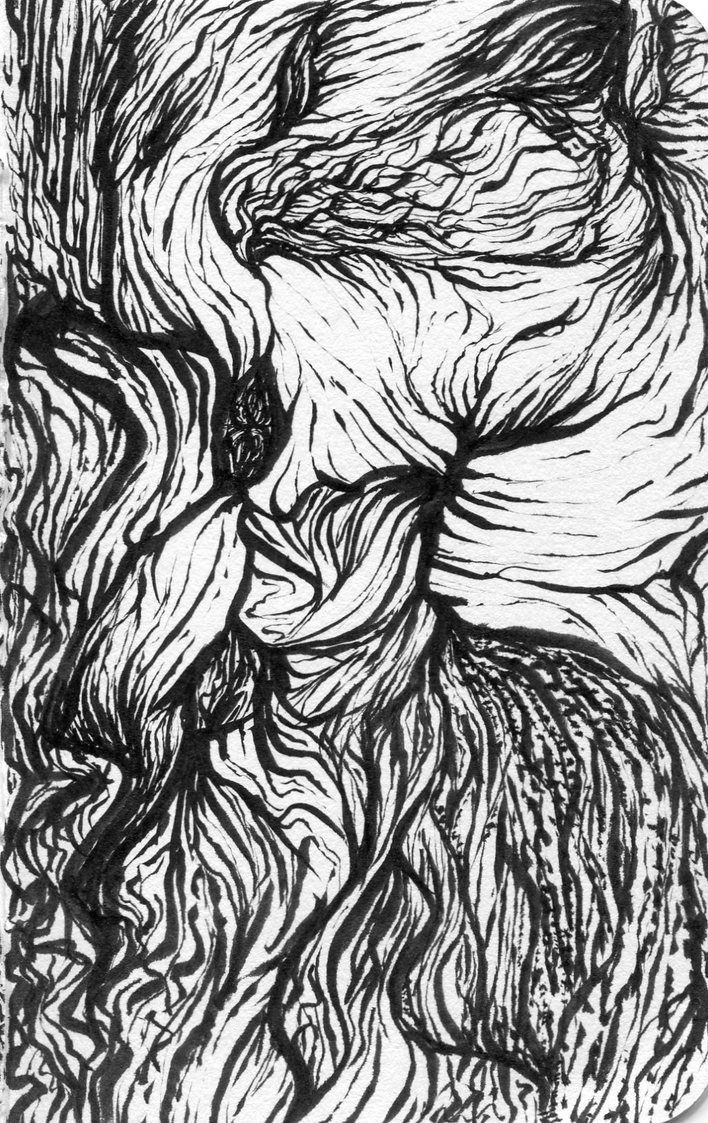 sketch041