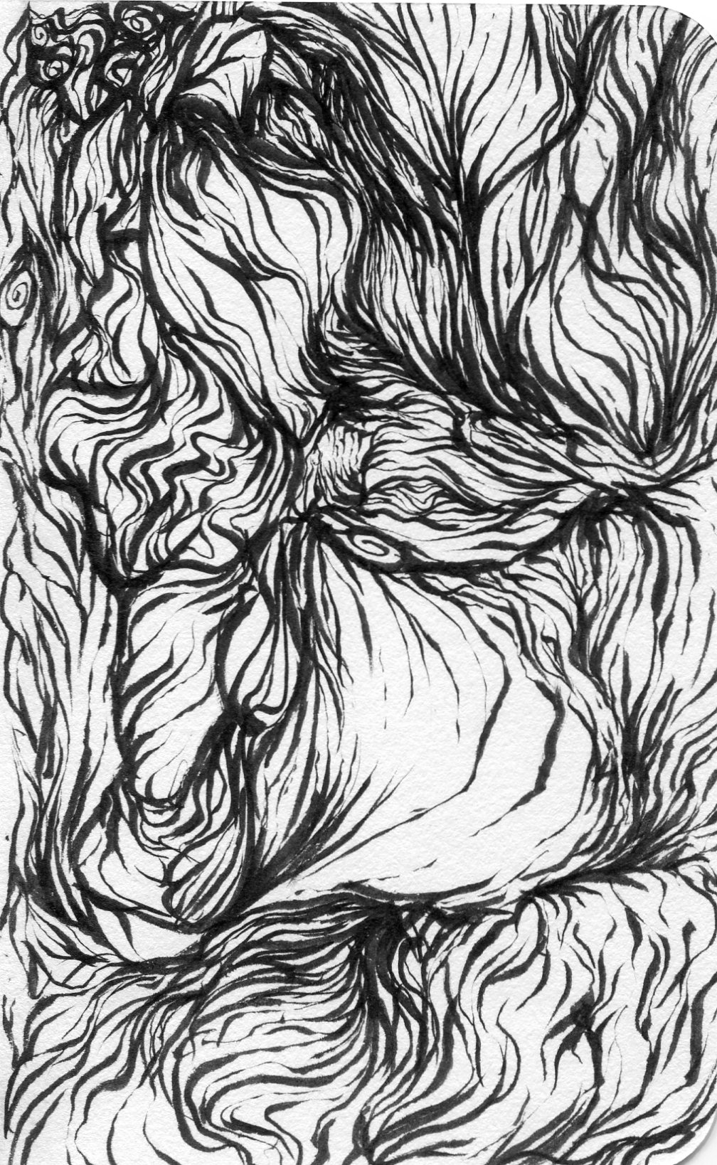 sketch046