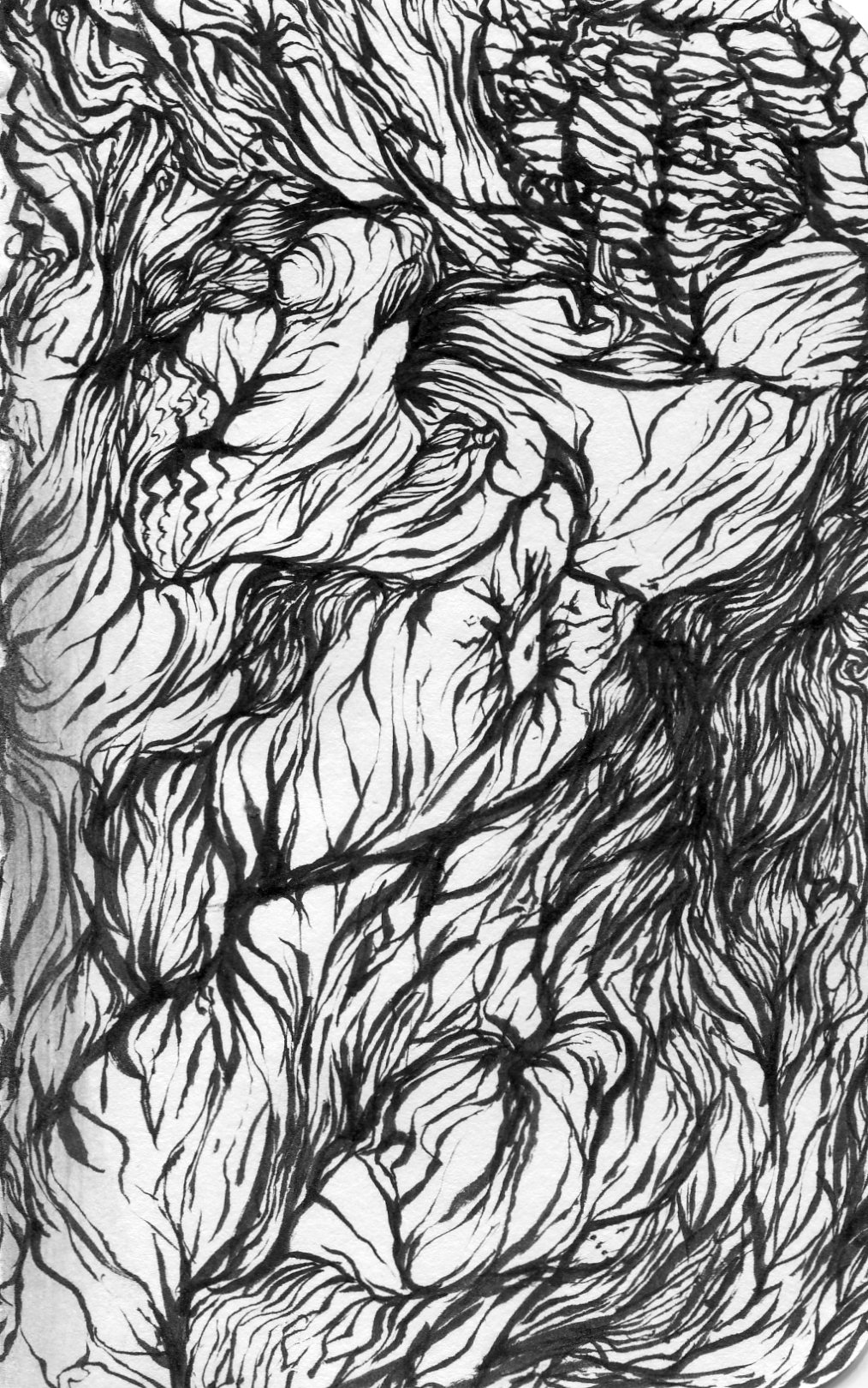 sketch049