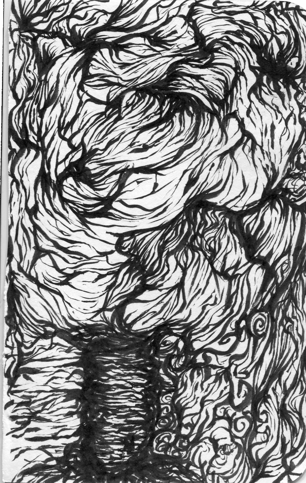 sketch050