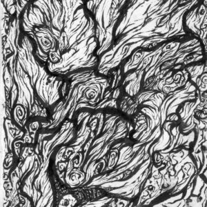 crevice