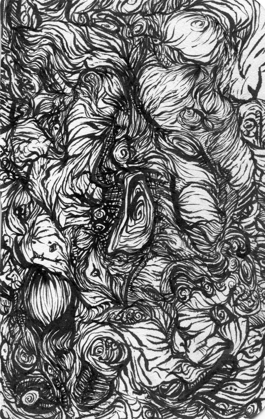 sketch052